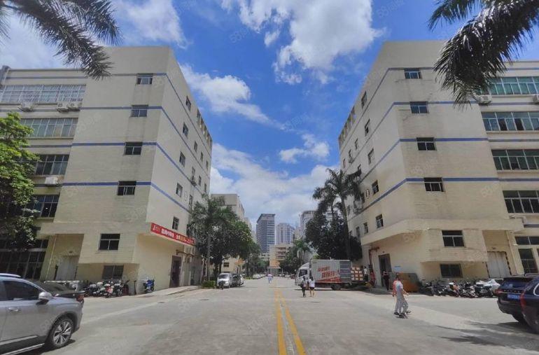 龙岗布吉园区厂房开发商直租 带红本 500平起分 租金含税