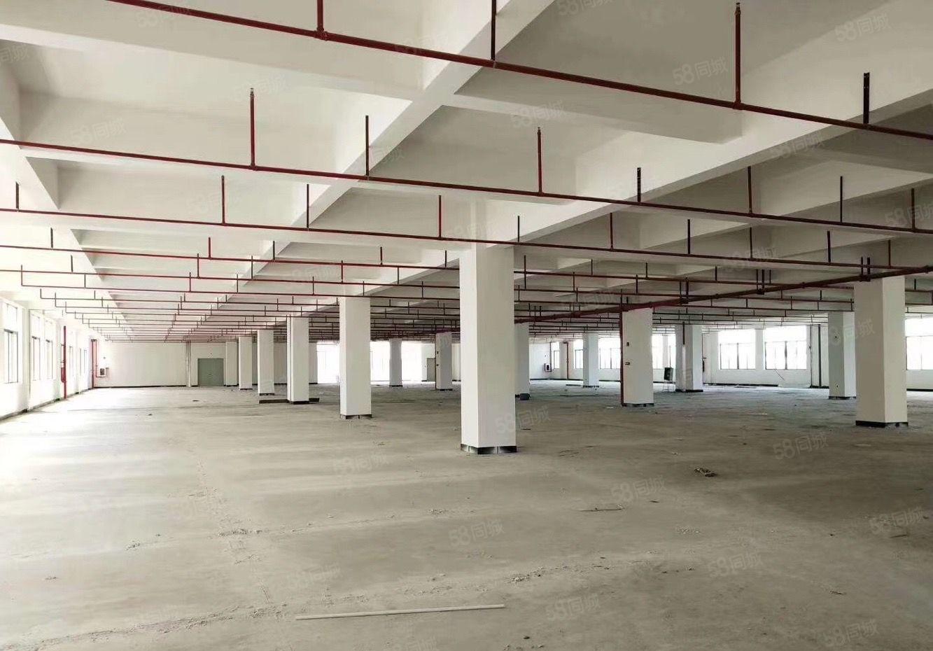 布吉丹竹头早禾坑工业区三楼1800平米厂房仓库出租