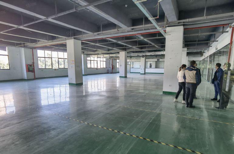 布吉地铁口便宜厂房特价19元原房东红本厂房办公仓库出租可分租