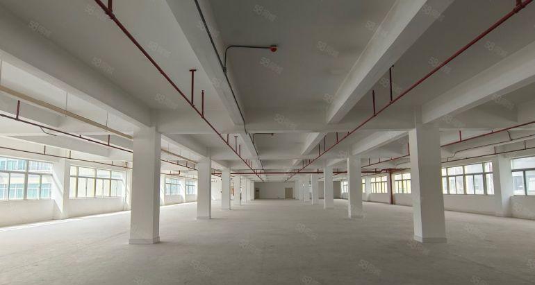 上水经原房东整栋12000平带装修500平起厂房出租仓库出租