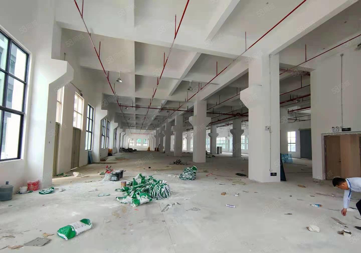 木棉湾主干道边大型工业园2100平厂房招租3吨货梯200平起