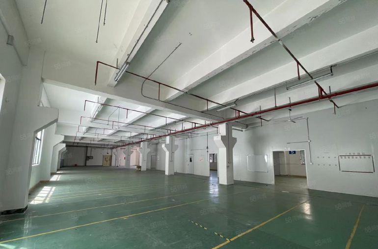 布吉吉华路工业园区高速路口标准厂房1500平带牛角厂房。