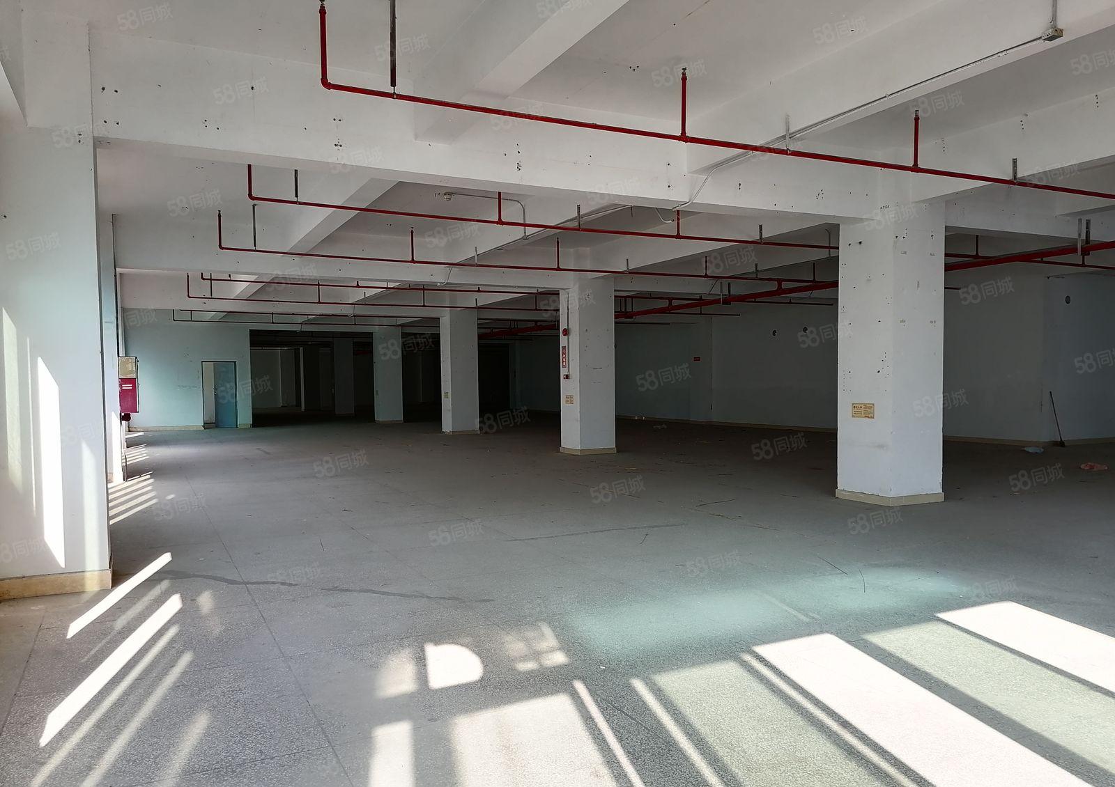 布吉 中交科技城 一手红本 100平至2610平厂房仓储出租