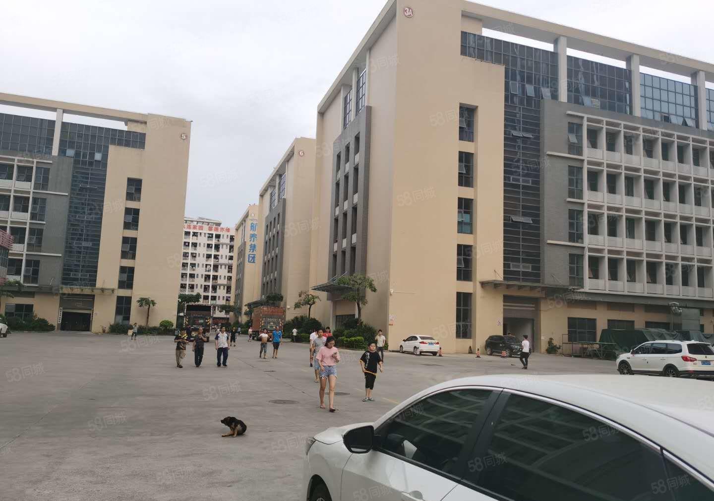 布吉李朗科技园精装1000平厂房出租500平起租适合电子加工