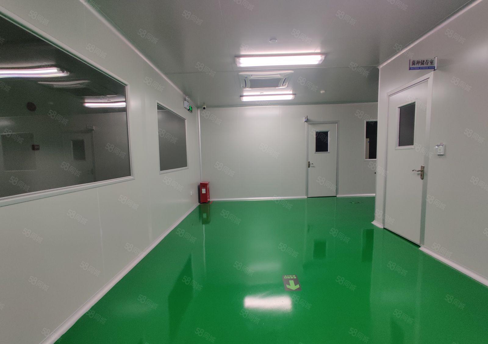 无尘车间！带装修！无转让费！生物医药厂房2700平即租即用