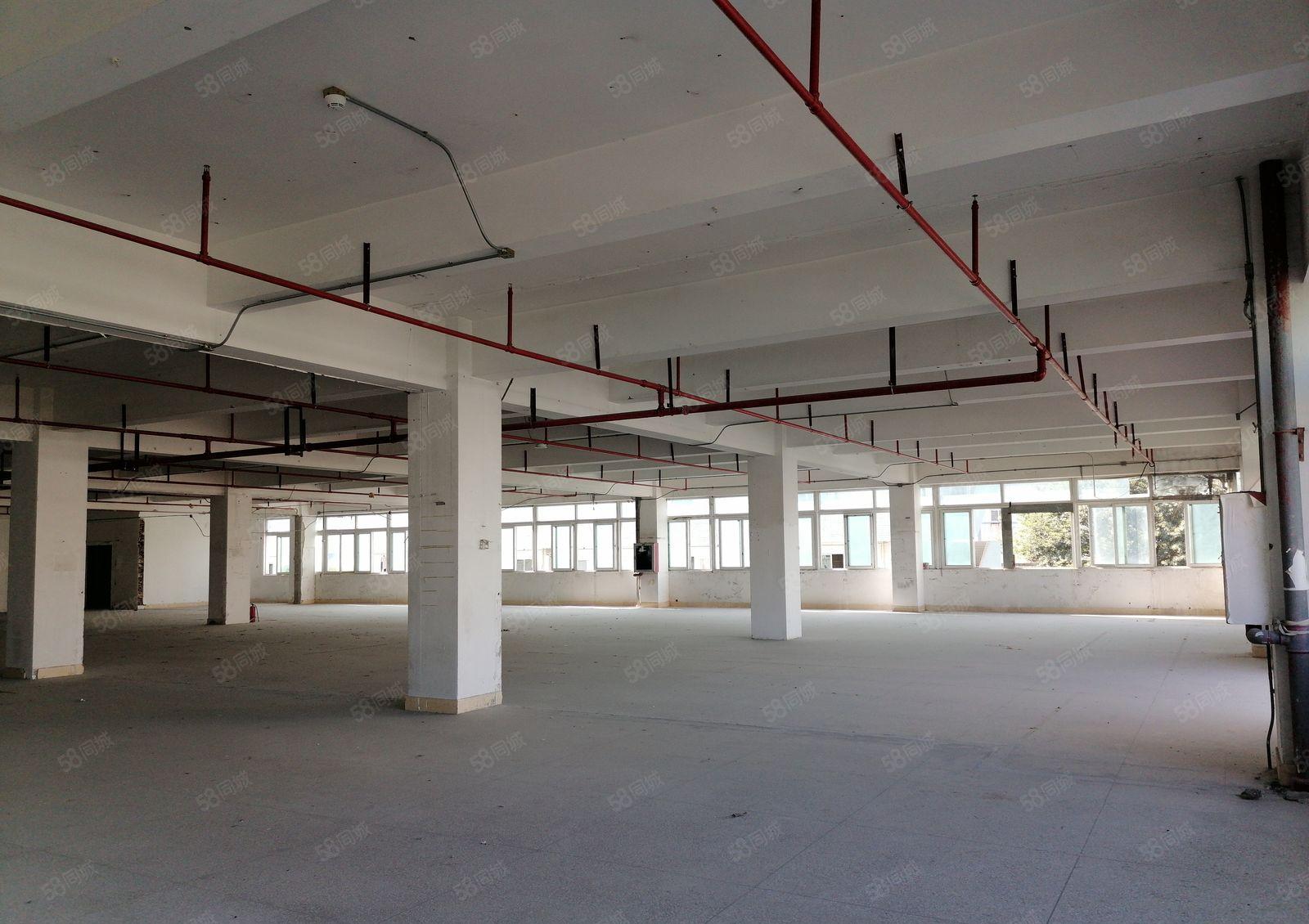 布吉主干道旁高实用率有喷淋标准厂房仓储出租