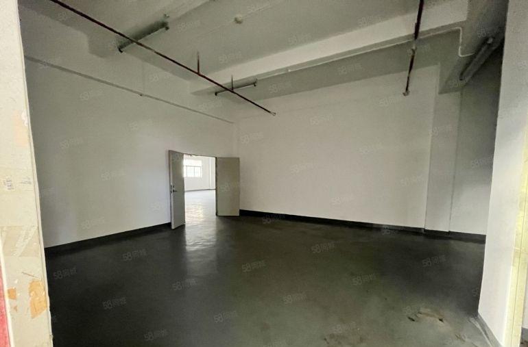 18元548厂房出租2吨货梯房东直租龙岗李朗