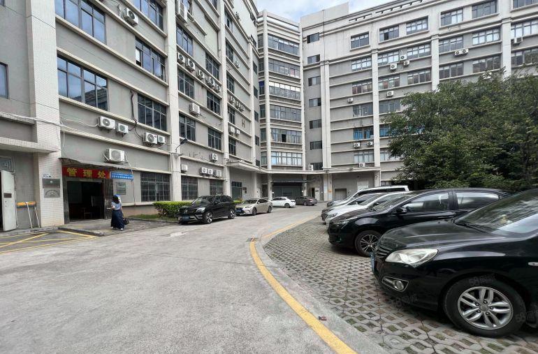 龙岗布吉李朗双地铁口300起租办公厂房仓库出租带精装