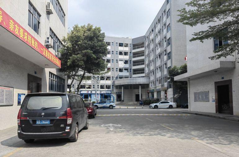 布澜路原房东业主直租