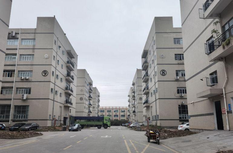 坂田布吉新出1000平至5000平方厂房仓库出租独院大小分租