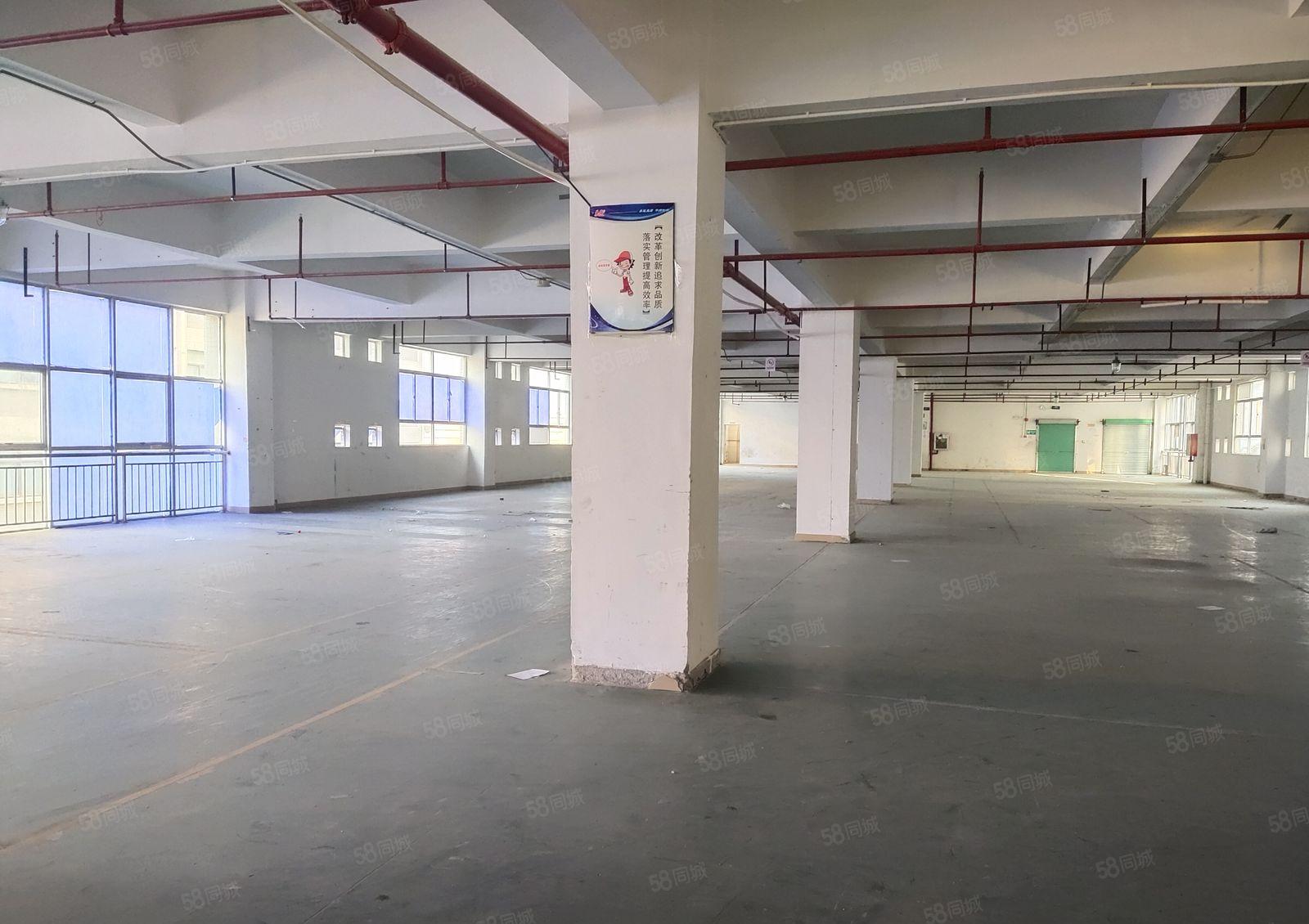 布吉上李朗工业园独院一楼2百5百8百1千平仓库厂房出租可分租