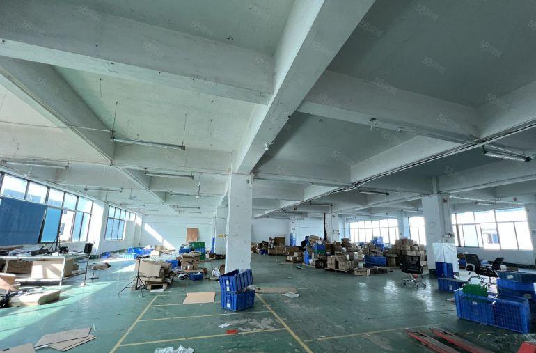 布吉坂田新出1000平平方厂房仓库出租,大小分租