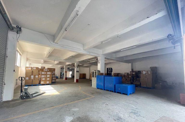 坂田主干道一楼原房东1000平现成办公仓库厂房大空地可进拖头