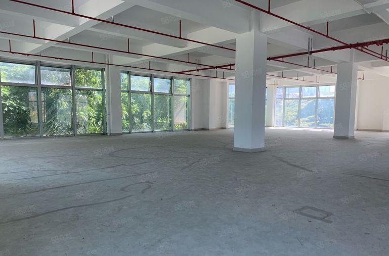 布吉南岭 布沙路边全新改造红本厂房整层1200平 大小可分租