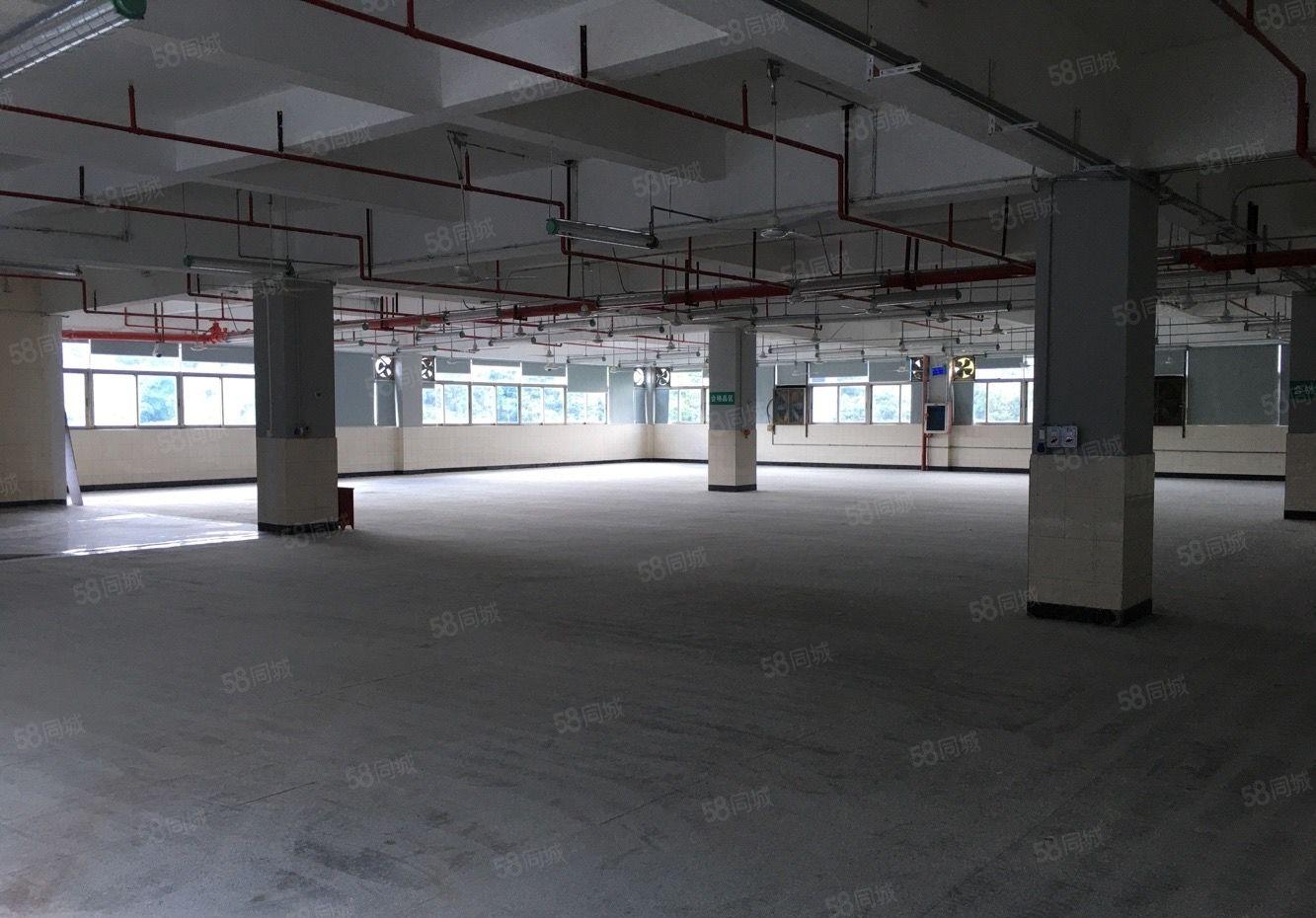 布吉丹竹头早禾坑工业区三楼1800平米厂房仓库出租