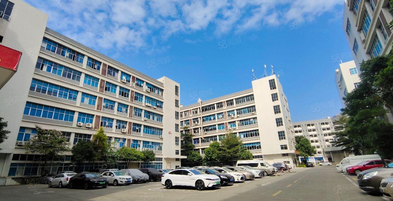 一手房东布吉李朗大型科技园新空出1000平方红本厂房仓库出租