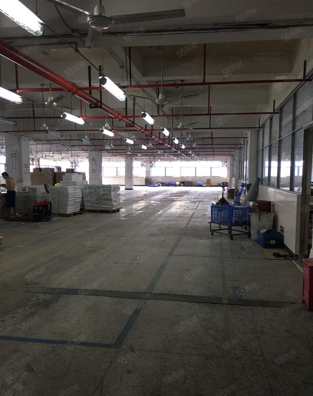 布吉秀峰工业城A5栋二楼600平米厂房仓库招租