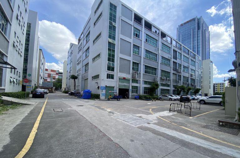 布吉丹竹头地铁口精装修厂房出租一楼电商仓库办公大小面积分租