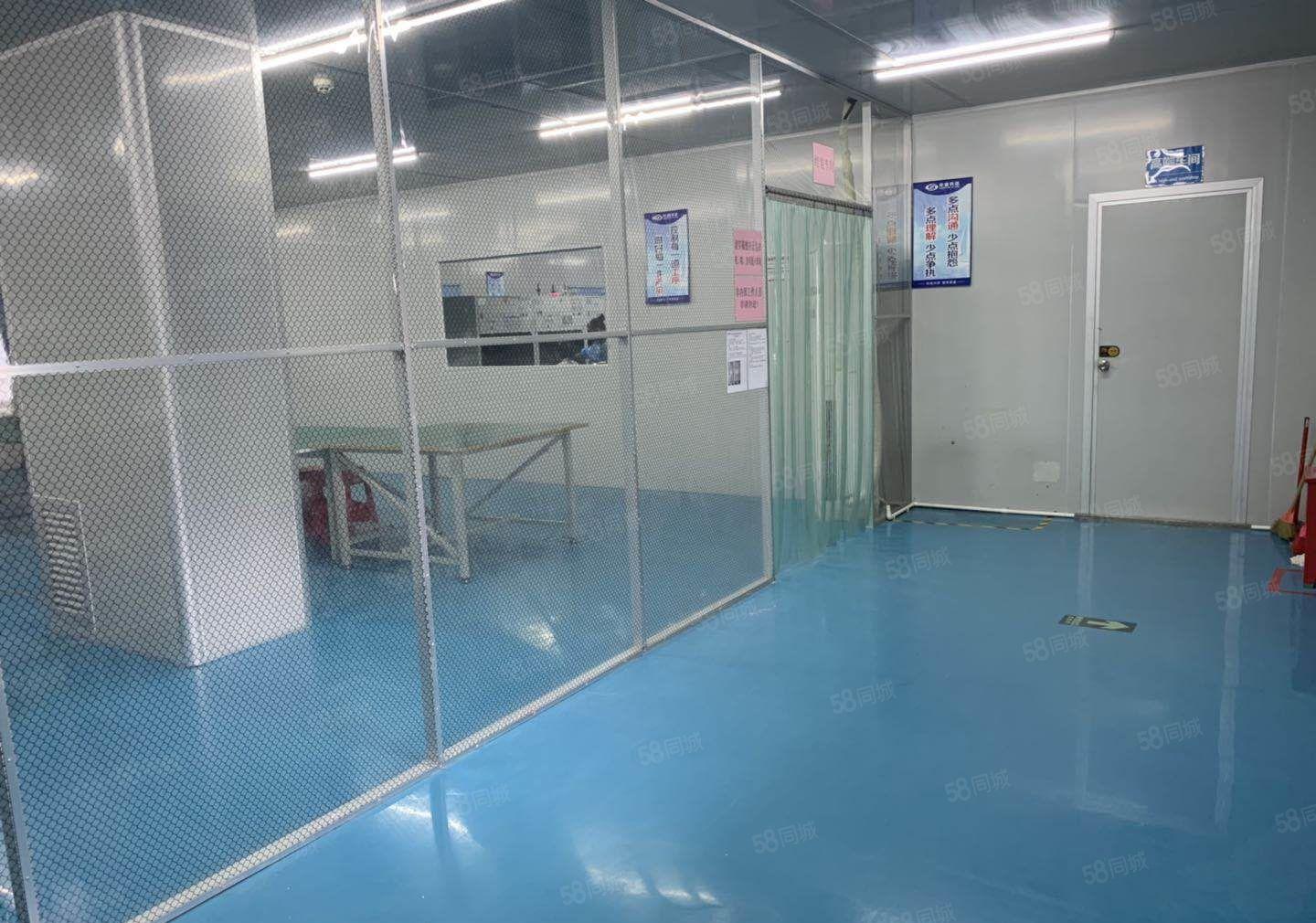 布吉李朗科技园精装1000平厂房出租500平起租适合电子加工