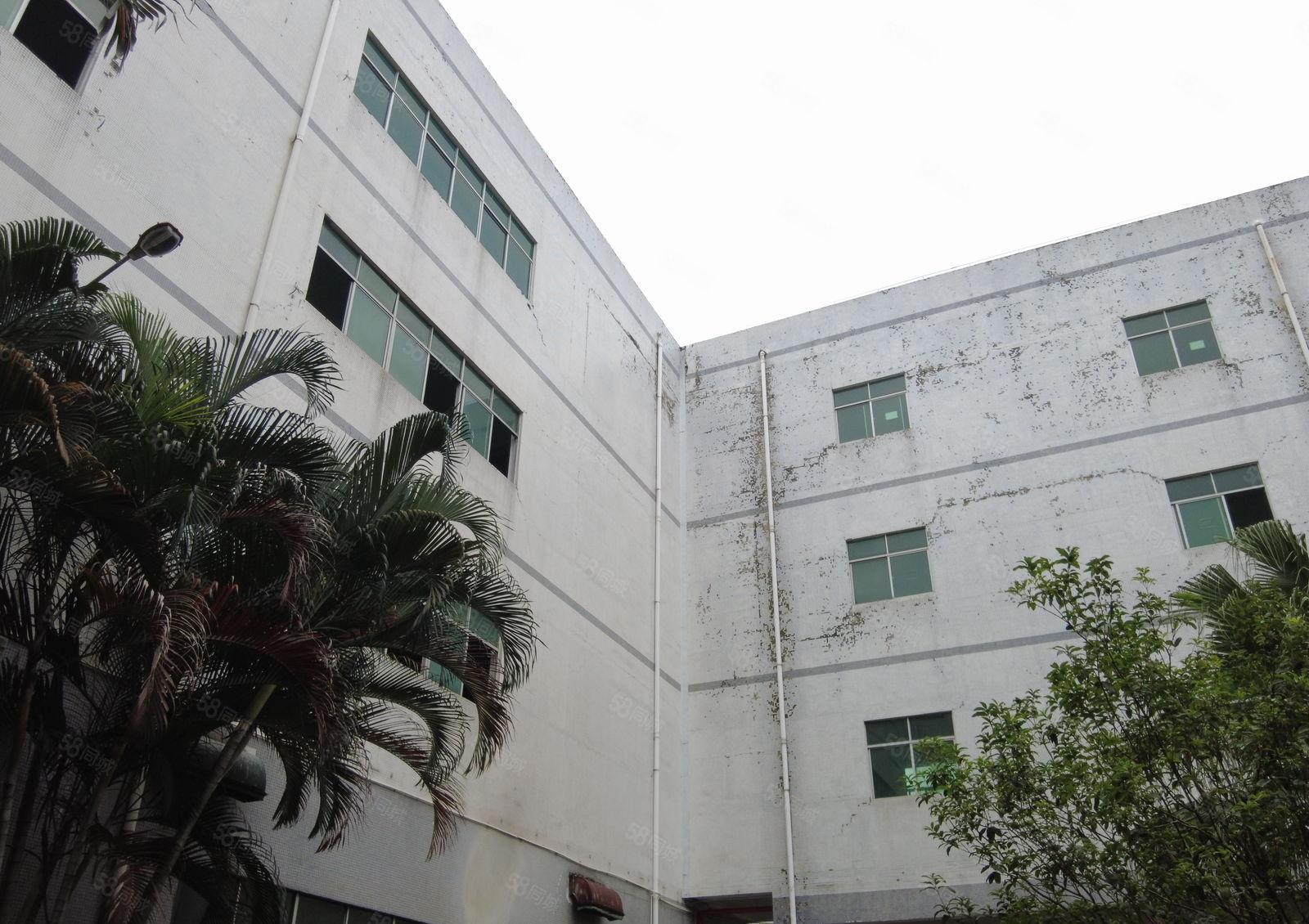 布吉南岭原房东200平起租厂房仓库低价出租15楼共5千平