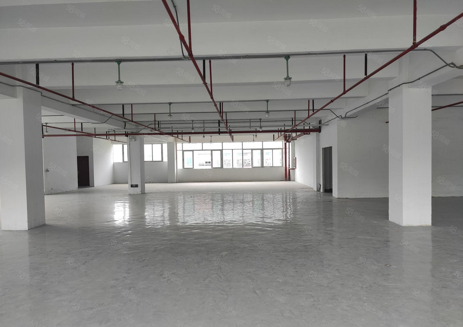 500平起租坂田吉华路花园式厂房8000平标准厂房仓库出租，