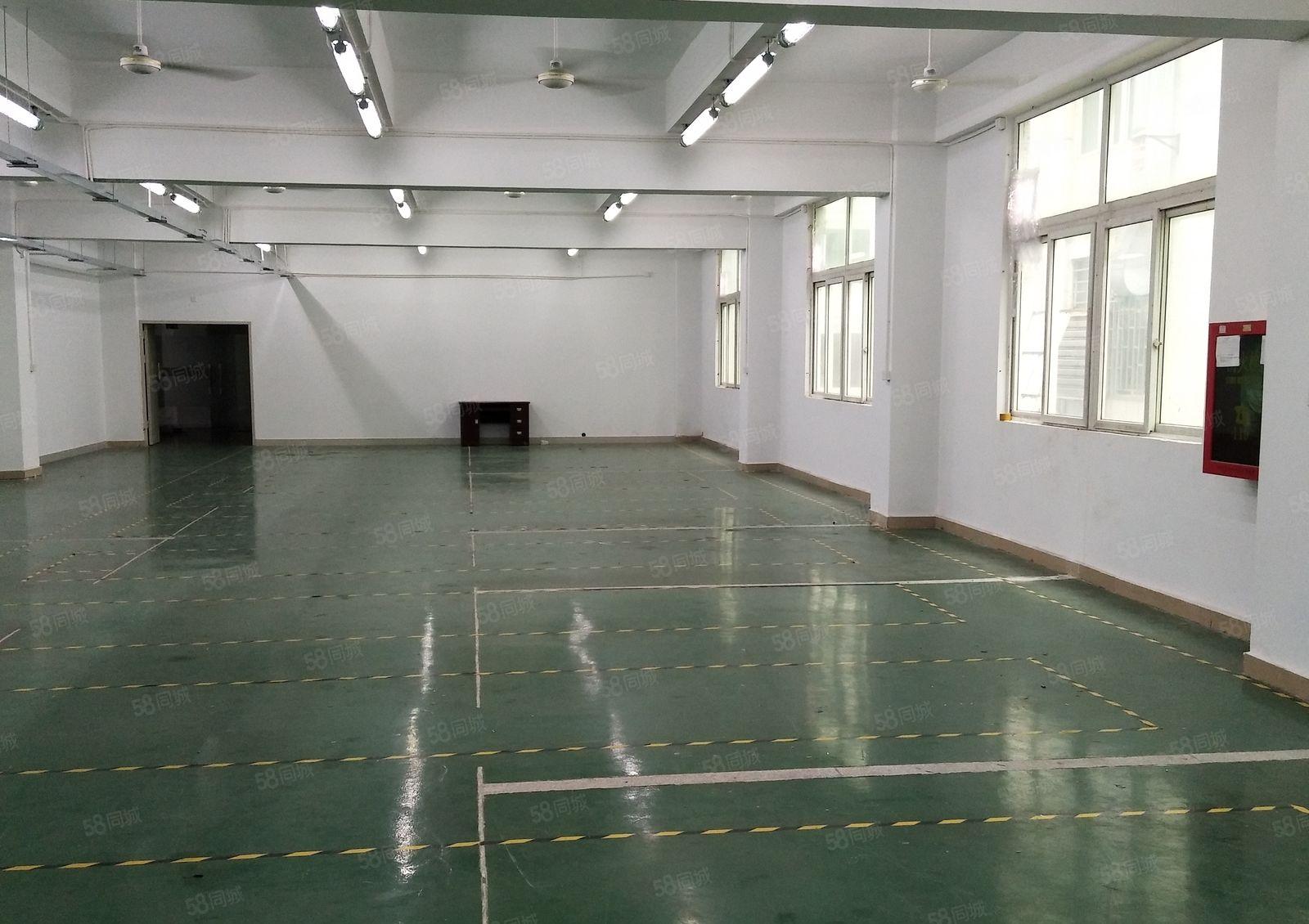 丹竹头地铁站附近新出三楼480平带装修厂房出租