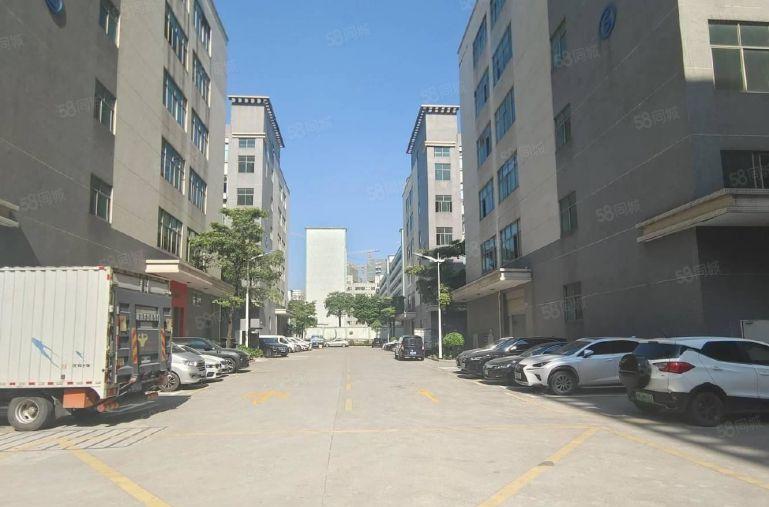 龙岗丹竹头地铁口原房东200至2000平厂房仓库出租精装办公