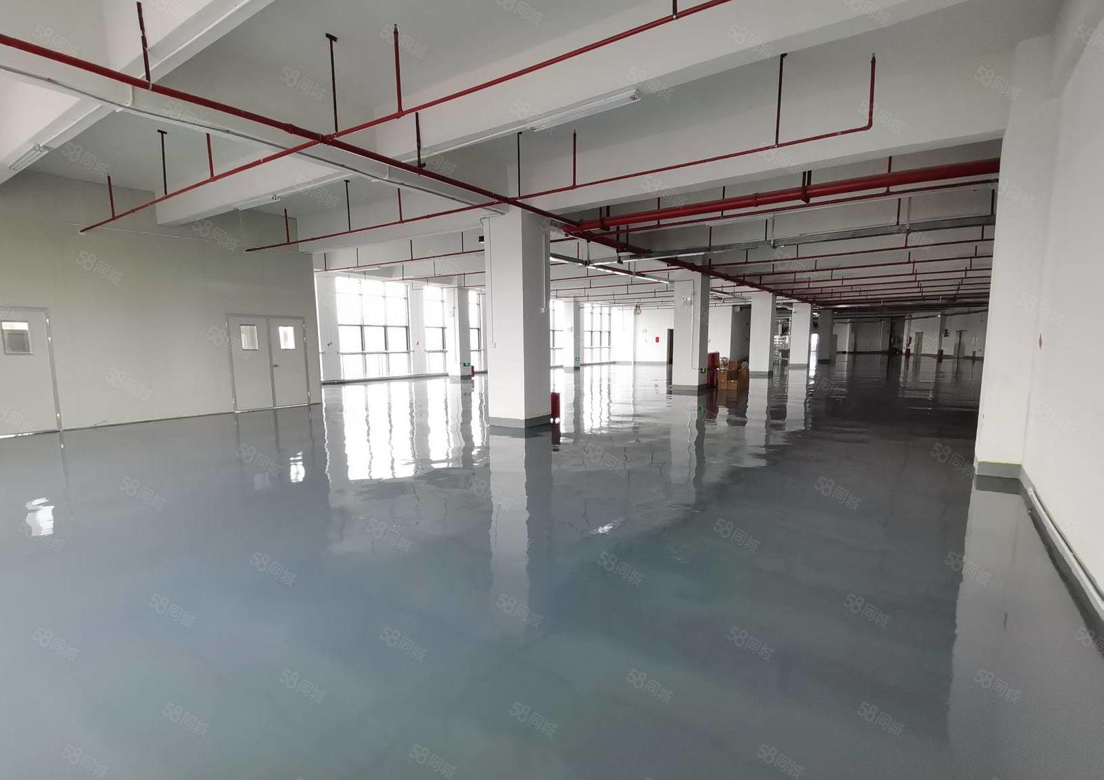 300平起分租布吉李朗原房东工业园一楼二楼1980平厂房出租