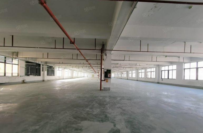 布吉百鸽笼工业园低价直租300至2000平厂房仓库出租可分租