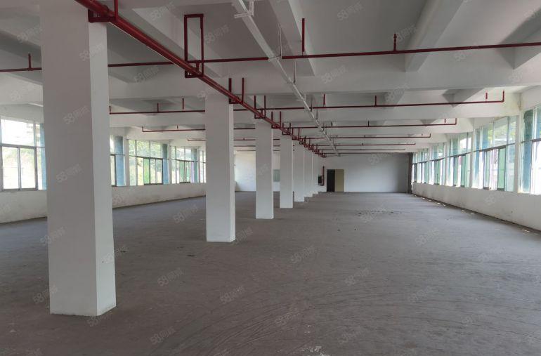 布吉上水径吉华路新出3楼整层1350平有房产证红本可分租出租