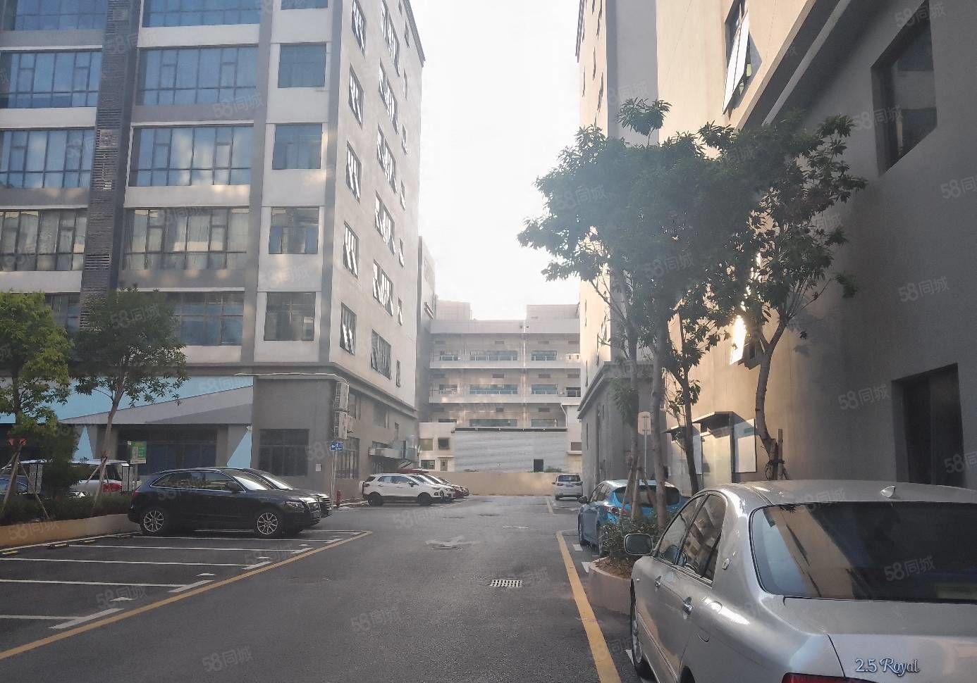 2000平布吉工业区厂房出租一楼电商仓库物流写字楼大小可分租