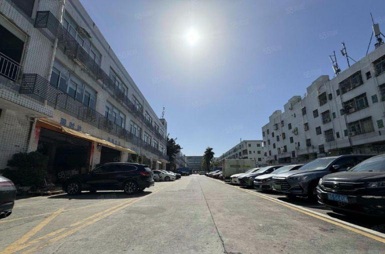 龙岗石芽岭精装修厂房出租楼上500平电商办公室仓库分租