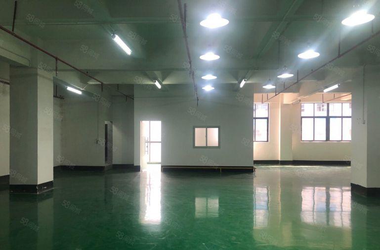 布吉李朗原房东带红本环评4000平二三楼厂房仓库出租！