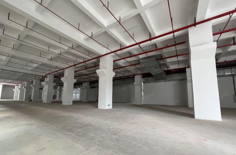 布吉李朗原房东工业园区580平一楼滴水6米带牛角形象好