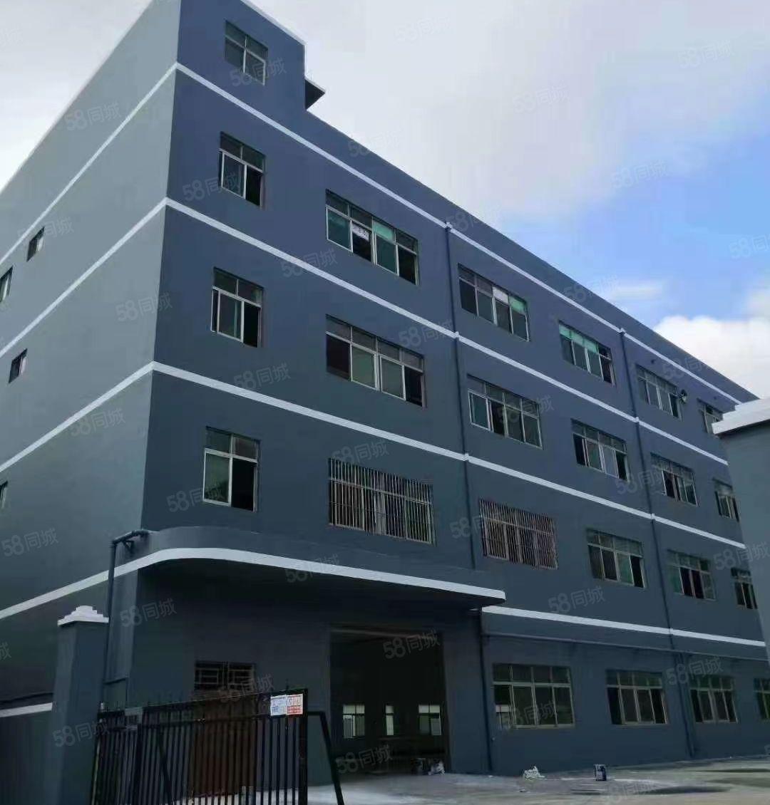 布吉丹竹头小微初创电商园，小面积68平米起租