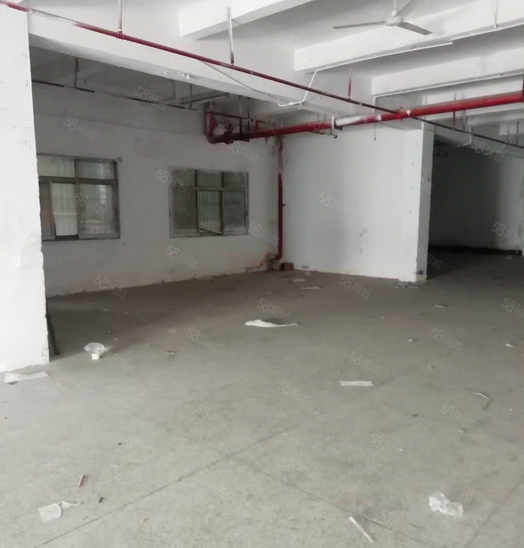 布吉丹竹头原房东一楼厂房仓库小面积出租