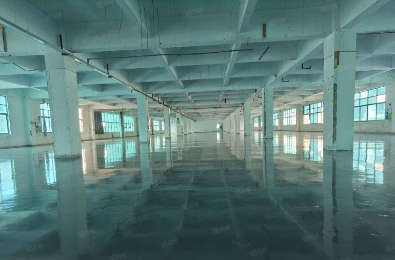 龙岗布吉工业区标准厂房出租三楼整层3000平方500平起分租
