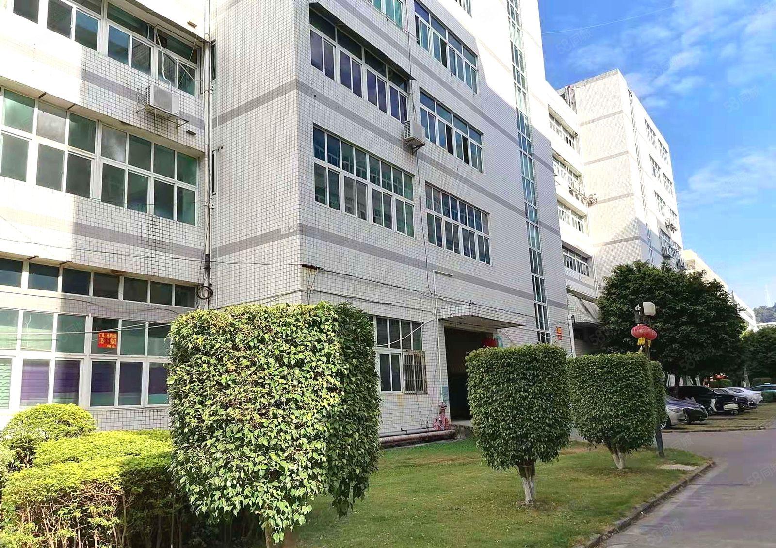 布吉 百门前 一手红本 一楼2000平厂房仓库出租