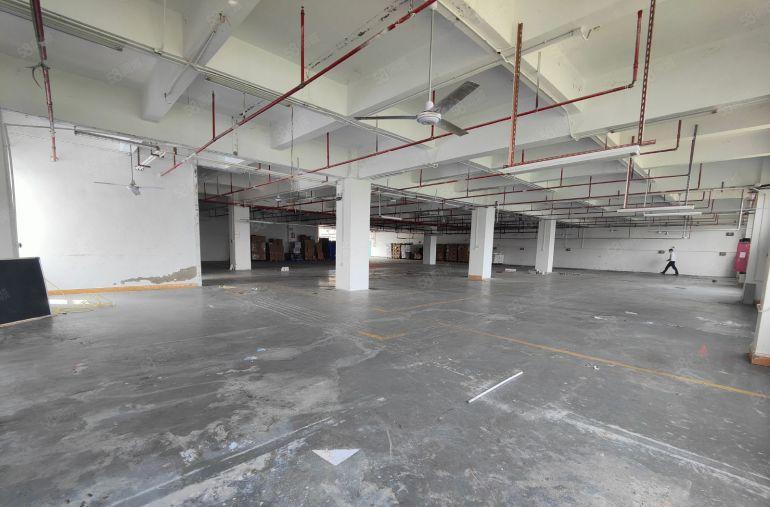 布吉百鸽笼新出精装修厂房1200平实际面积出租