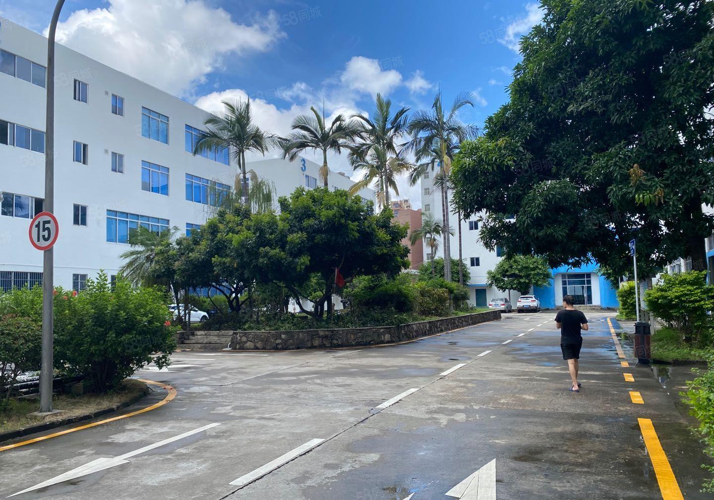 布吉百鸽笼附近仅有500平办公厂房仓库出租交通便利生活方便