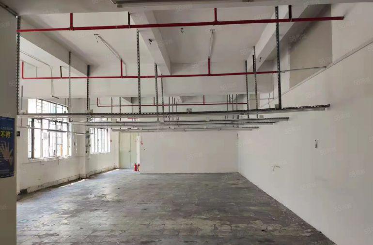 布吉罗岗联创工业区，原房东红本厂房