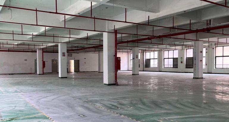 布吉上水径村委红本厂房500平带装修可以分租使用率高