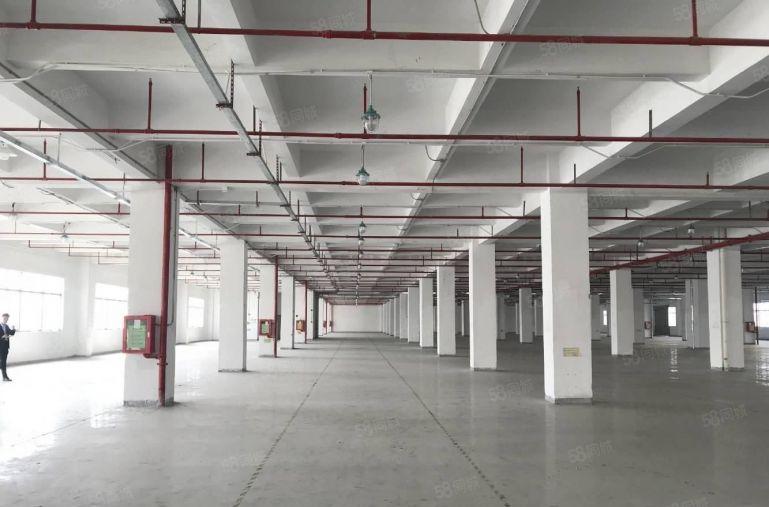 龙岗布吉标准厂房原房东带红本1000平米可分租