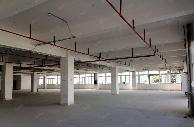 布吉高实用率一手红本主干道厂房仓储出租