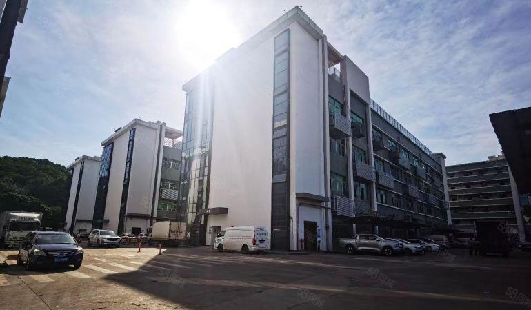 坂田五和地铁站电商办公基地500平方精装修办公室厂房仓库出租