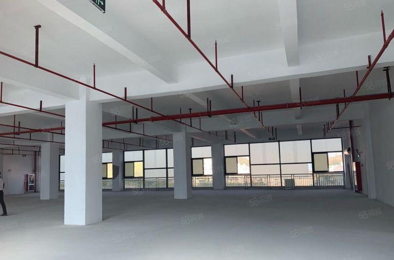 布吉上李朗地铁口，原房东，精装修，楼上3000平方厂房出租！