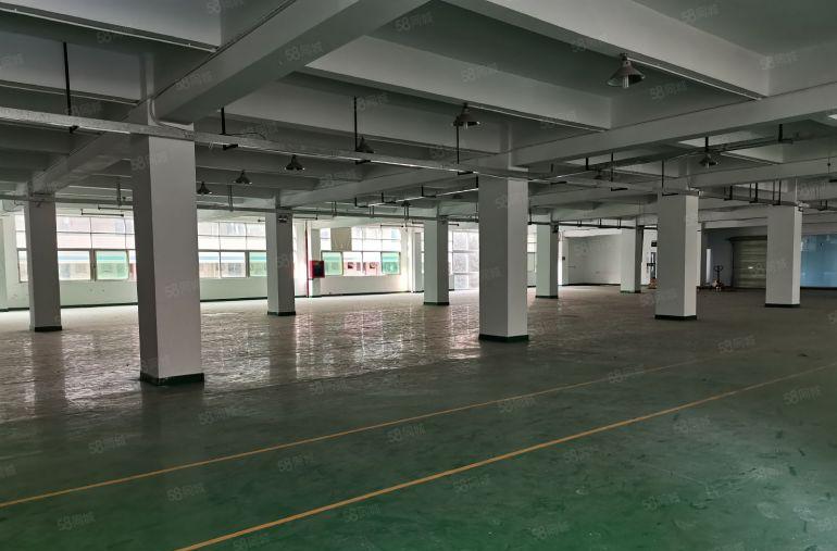 20元低价起租布吉大芬地铁工业园区一楼1000平厂房仓库出租