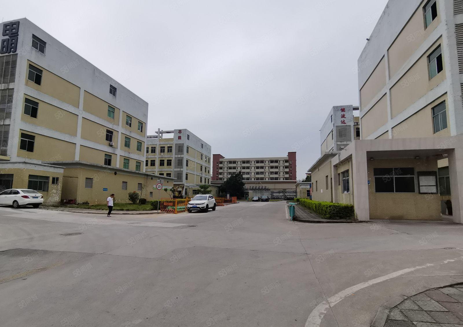 手慢无！李朗珠宝园旁边1300平标准厂房招租大小可分房东隔墙