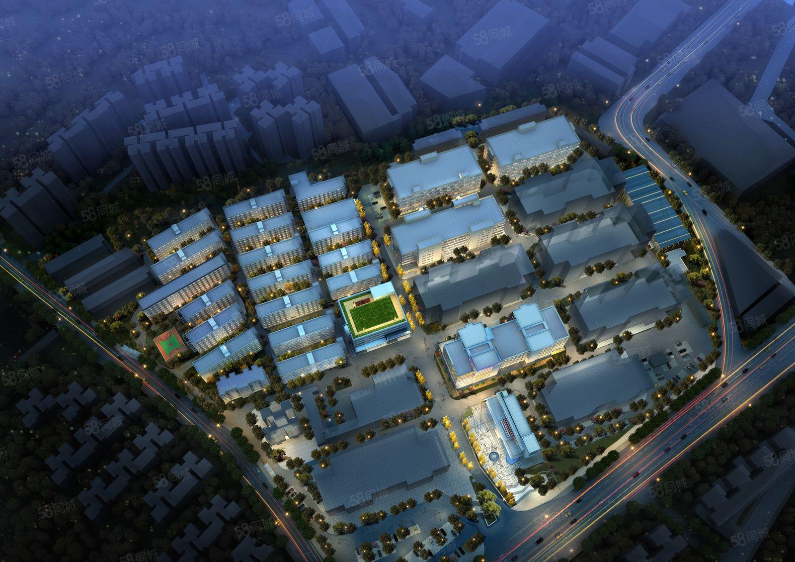 布吉主干道旁核心地段一手红本全新独栋精装办公出租