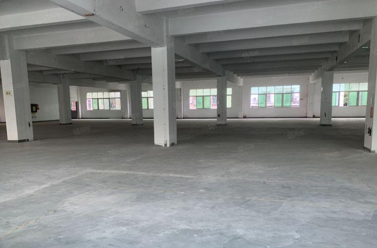 布吉坂田上水径新出楼上1000平厂房仓库出租报价20元可分租